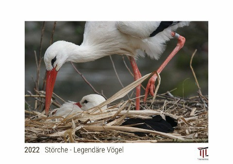 Störche - Legendäre Vögel 2022 - White Edition - Timokrates Kalender, Wandkalender, Bildkalender - DIN A4 (ca. 30 x 21 cm)