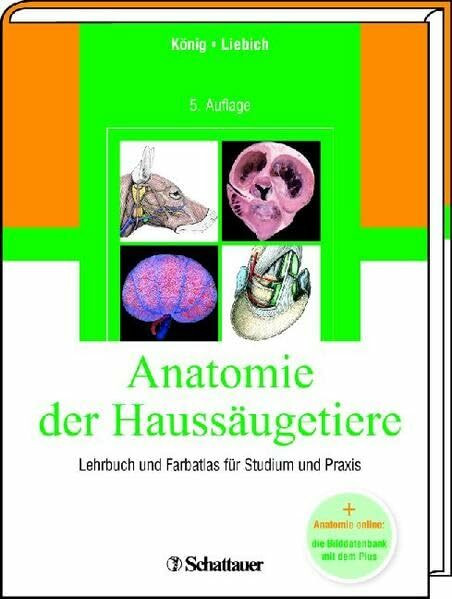 Anatomie der Haussäugetiere: Lehrbuch und Farbatlas für Studium und Praxis + Vet-Anatomie online: die Bilddatenbank mit dem Plus