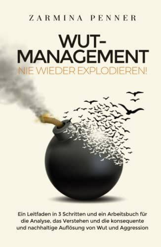 Wut-Management - Nie wieder explodieren!: Ein Leitfaden in 3 Schritten und ein Arbeitsbuch für die Analyse, das Verstehen und die konsequente und nachhaltige Auflösung von Wut und Aggression