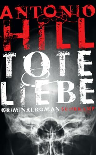 Tote Liebe - Kriminalroman (Héctor-Salgado-Trilogie 3)