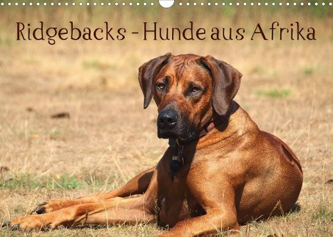 Ridgebacks - Hunde aus Afrika (Wandkalender 2022 DIN A3 quer)