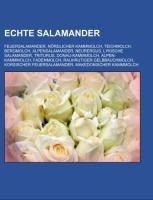 Echte Salamander