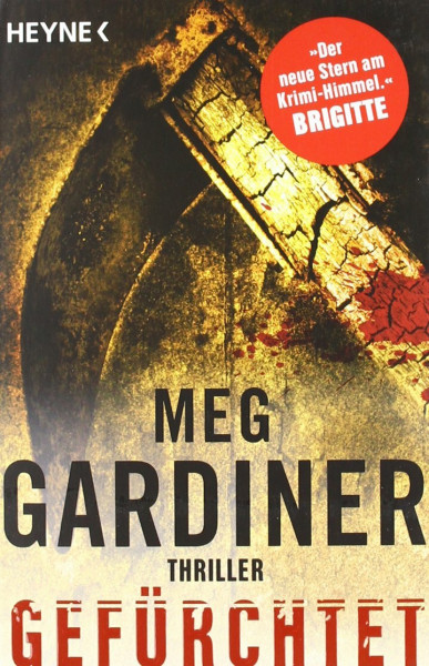 Gefürchtet: Thriller (Evan Delaney, Band 5)