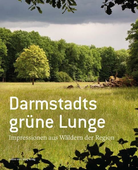 Darmstadts grüne Lunge: Impressionen aus Wäldern der Region