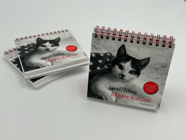Ansichten kluger Katzen: Zweifarbiger Postkarten-Aufsteller, mit 25 Postkarten zum Heraustrennen