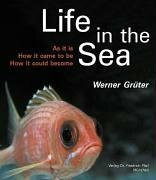 Life in the Sea: As it is, How it came to be, How it could become. The magic of diversity, its origins, and implications