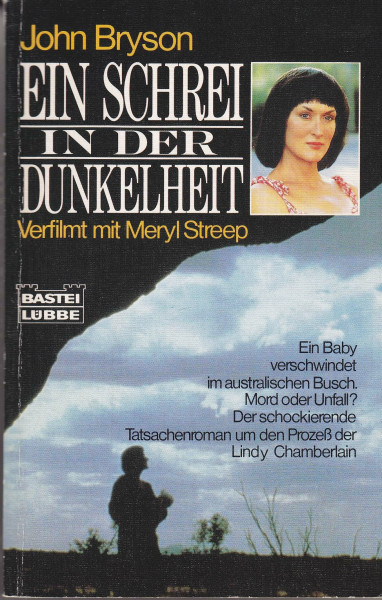Ein Schrei in der Dunkelheit (Allgemeine Reihe. Bastei Lübbe Taschenbücher)