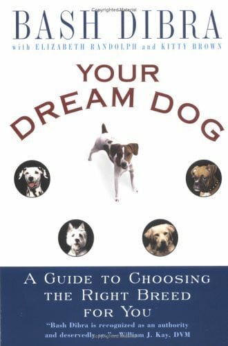 Your Dream Dog: A Guide to Choosing the Right Breed for You