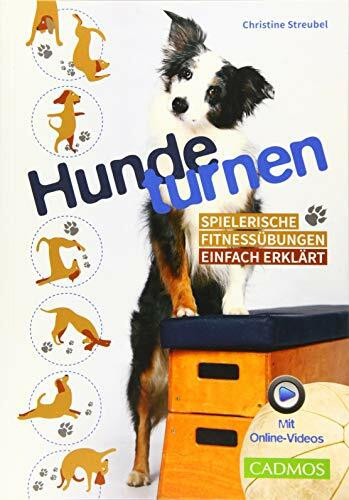 Hundeturnen: Spielerische Fitnessübungen einfach erklärt