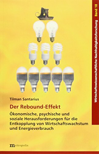 Der Rebound-Effekt: Ökonomische, psychische und soziale Herausforderungen für die Entkopplung von Wirtschaftswachstum und Energieverbrauch (Wirtschaftswissenschaftliche Nachhaltigkeitsforschung)