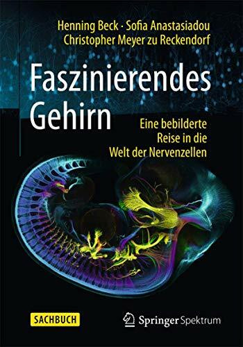 Faszinierendes Gehirn: Eine bebilderte Reise in die Welt der Nervenzellen