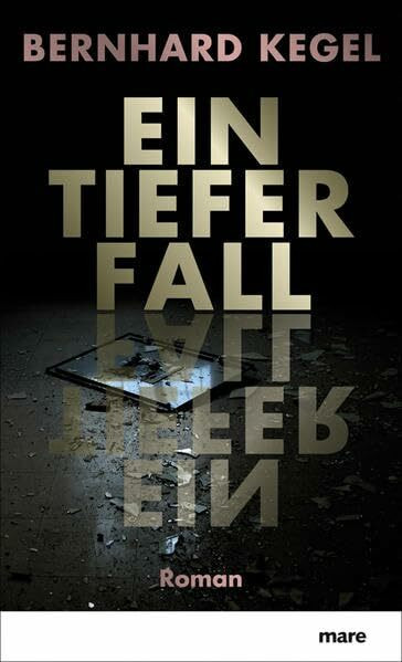 Ein tiefer Fall: Roman
