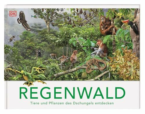 Regenwald: Tiere und Pflanzen des Dschungels entdecken. Die Vielfalt des Lebens im Regenwald. Mit 13 3-D-Panoramabildern. Für Kinder ab 8 Jahren (Panorama-Bücher)