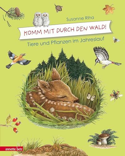 Komm mit durch den Wald: Tiere und Pflanzen im Jahreslauf