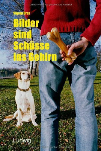 Bilder sind Schüsse ins Gehirn.: Das Bild in der Werbefotografie der 90er Jahre.