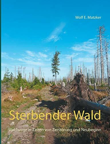 Sterbender Wald