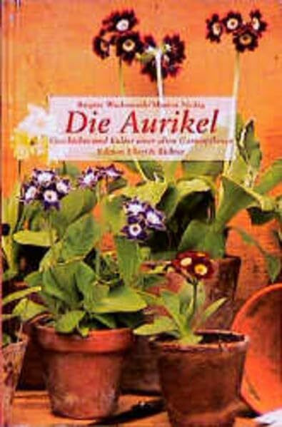 Die Aurikel: Geschichte und Kultur einer alten Gartenpflanze