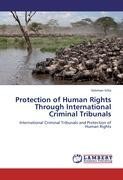 Protection of Human Rights Through International Criminal Tribunals
