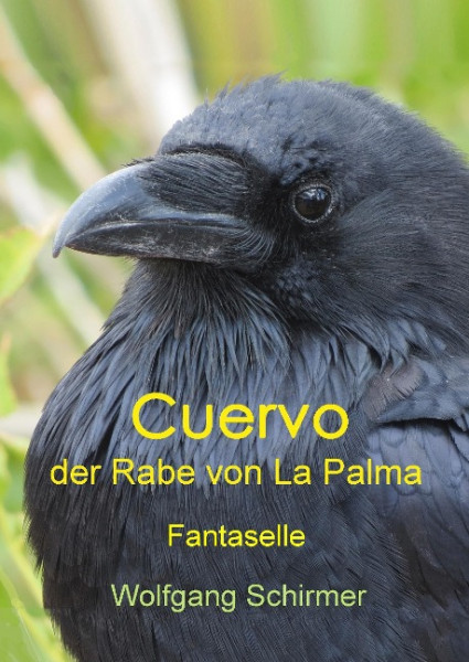 Cuervo - der Rabe von La Palma