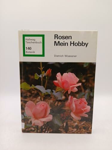 Rosen - mein Hobby