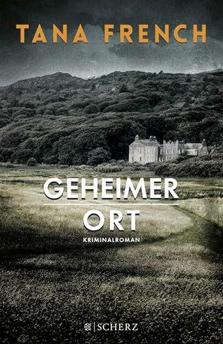 Geheimer Ort: Kriminalroman (Mordkommission Dublin, Band 5)