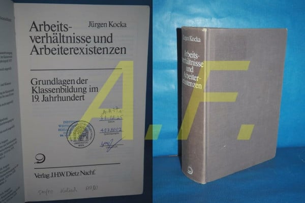 Geschichte der Arbeiter und der Arbeiterbewegung in Deutschland seit dem Ende des 18. Jahrhunderts, Band 2: Arbeitsverhältnisse und ... der Klassenbildung im 19. Jahrhundert