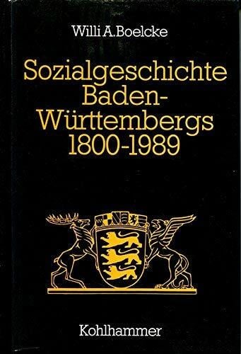 Sozialgeschichte Baden-Württembergs 1800-1989: Politik, Gesellschaft, Wirtschaft (Schriften zur politischen Landeskunde Baden-Württembergs)