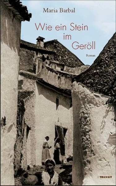 Wie ein Stein im Geröll: Roman. Nachw. v. Joan Tous
