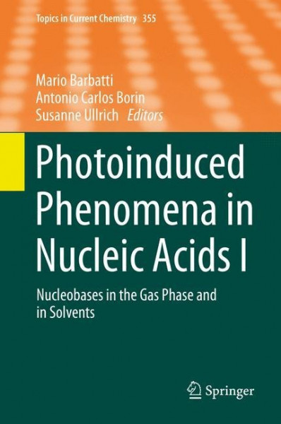 Photoinduced Phenomena in Nucleic Acids I