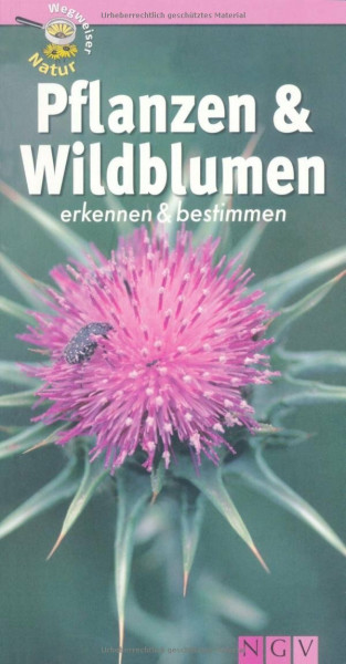 Pflanzen und Wildblumen erkennen & bestimmen: Wegweiser Natur