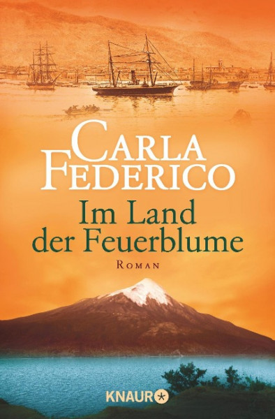 Chile 01. Im Land der Feuerblume