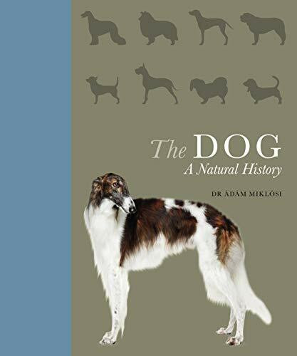 The Dog: A natural history