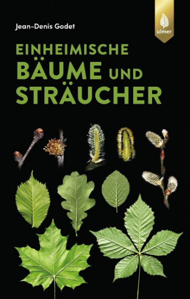 Einheimische Bäume und Sträucher