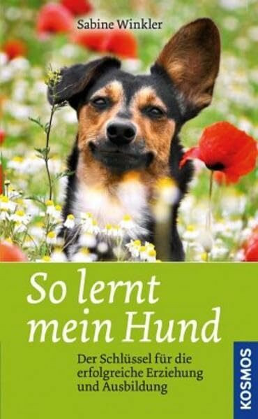 So lernt mein Hund: Der Schlüssel für die erfolgreiche Erziehung und Ausbildung