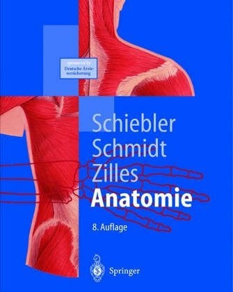 Anatomie