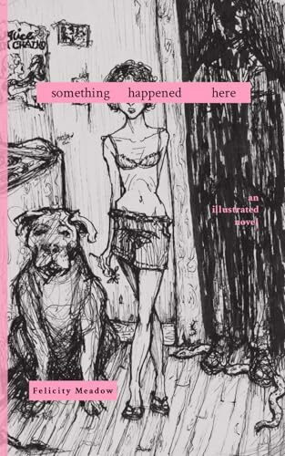 Something Happened Here: an illustrated novel