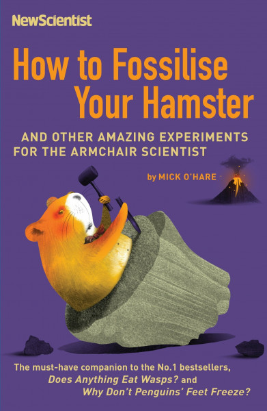 How to Fossilise Your Hamster: And other amazing experiments for the armchair scientist (New Scientist)
