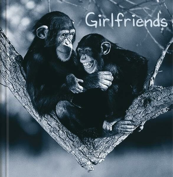 Girlsfriends!: Geschenkbuch