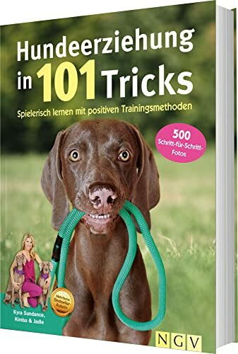 Hundeerziehung in 101 Tricks: Spielerisch lernen mit positiven Trainingsmethoden