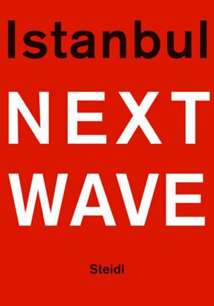 Istanbul Next Wave: Gleichzeitigkeit - Parallelen - Gegensätze. Moderne und zeitgenössische Kunst aus Istanbul