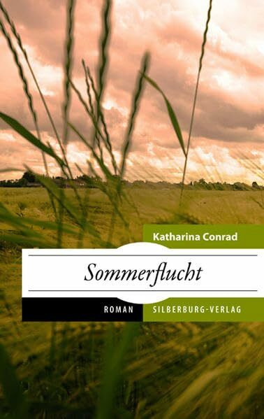 Sommerflucht: Roman