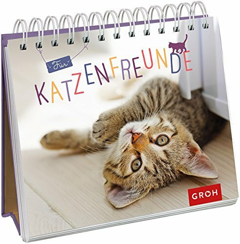 Für Katzenfreunde: Spiralaufsteller