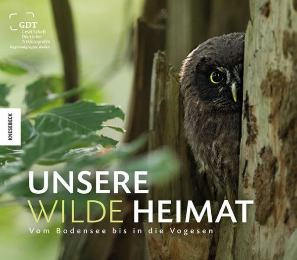 Unsere wilde Heimat: Vom Bodensee bis in die Vogesen