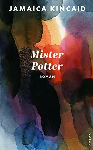Mister Potter: Roman