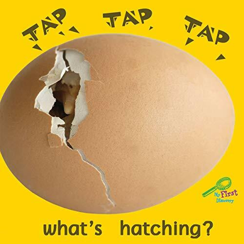 Tap, Tap, Tap, What's Hatching? (Rourke Board Books)