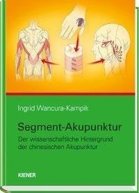 Segment-Akupunktur