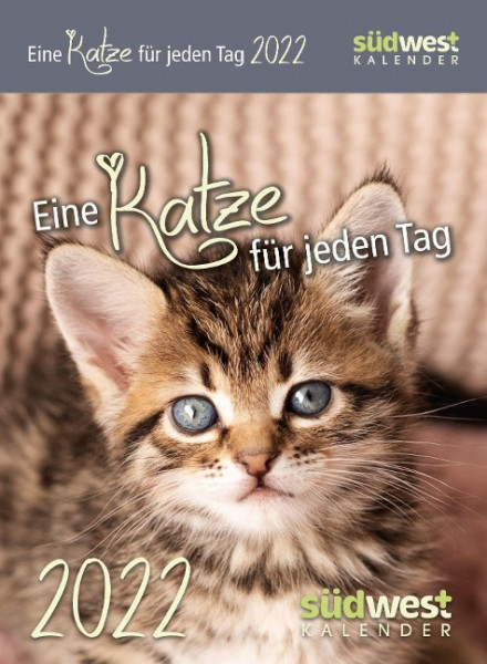Eine Katze für jeden Tag 2022 Abreißkalender