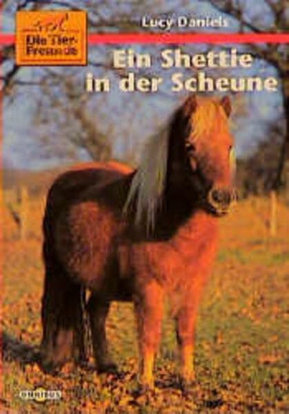 Die kleinen Tierfreunde / Ein Shettie in der Scheune