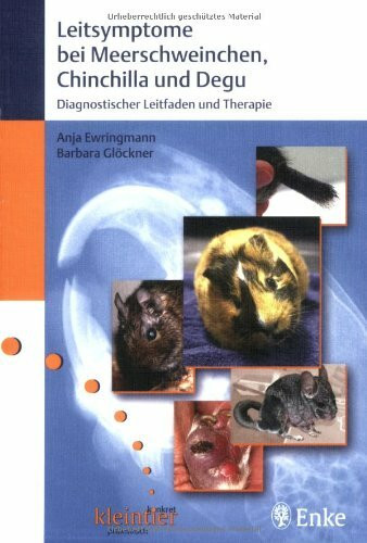 Leitsymptome bei Meerschweinchen, Chinchilla und Degu: Diagnostischer Leitfaden und Therapie