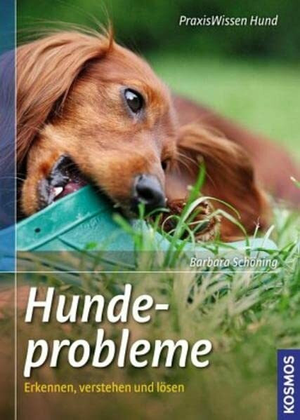 Hundeprobleme: Erkennen, verstehen und lösen